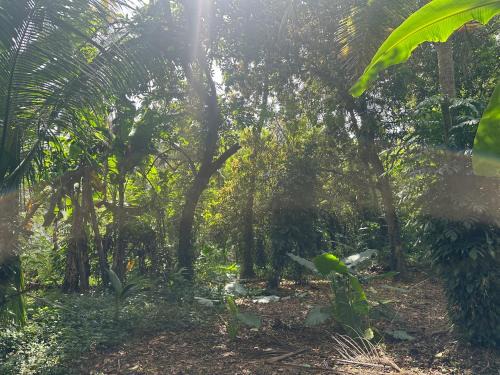 Narangodapaluwa House | Pepper Villa