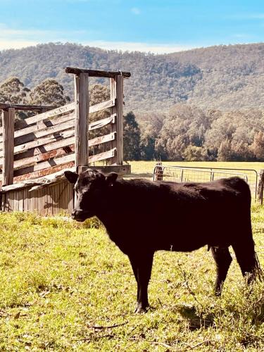 Clarence Town House | Peppercorns Riverside Farm Stay
