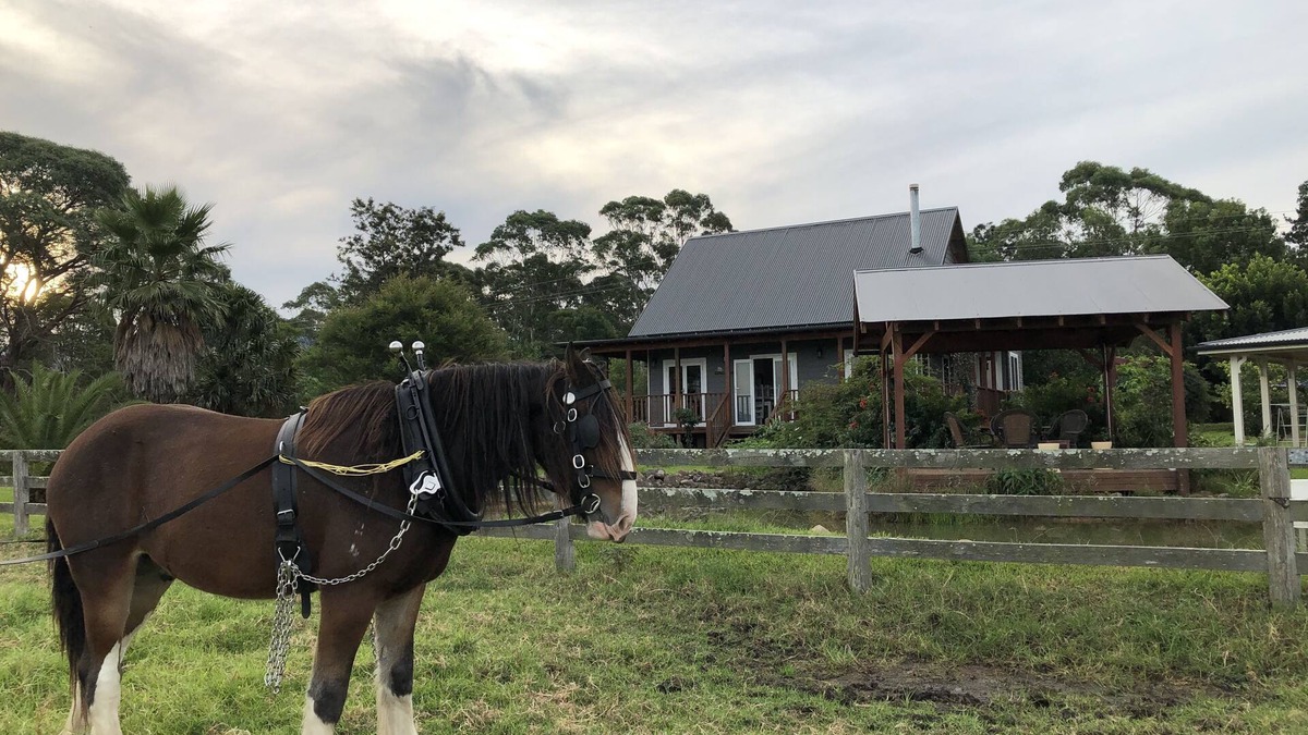 Berry Cottage | Peppergrove Cottage