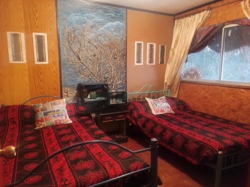 Lo Contador Bed & Breakfast | PEQUEÑOVALPO hillside homestay