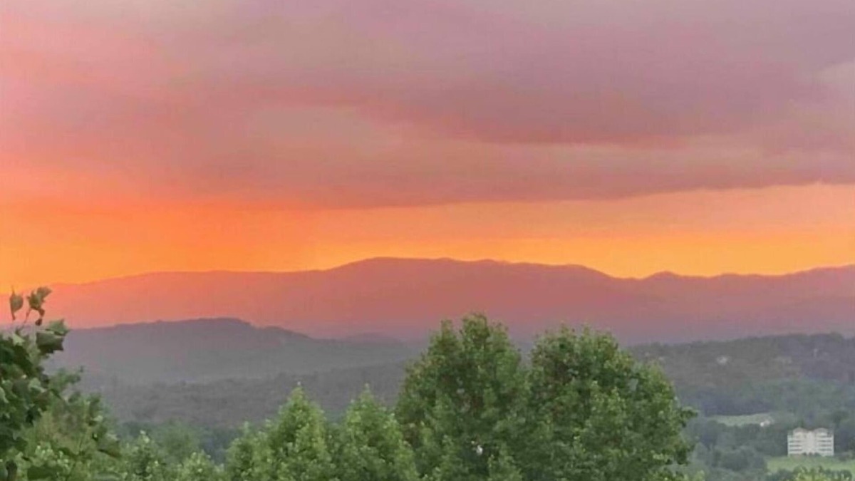 Hiawassee Apartment | Perch yourself at Robin’s Nest & enjoy spectacular views in a beautiful setting