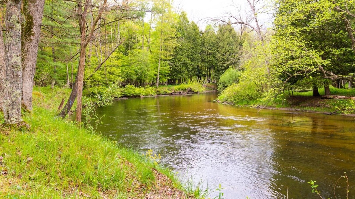 Branch Cabin | Pere Marquette River Fishing Cabin 1