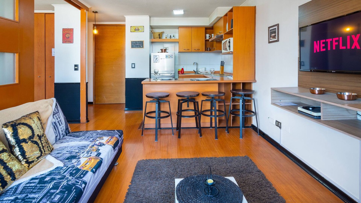 Downtown Santiago Apartment | Perfect Apartmen For Lover Of Travels. Best Located, Full Equiped, Include A/C!