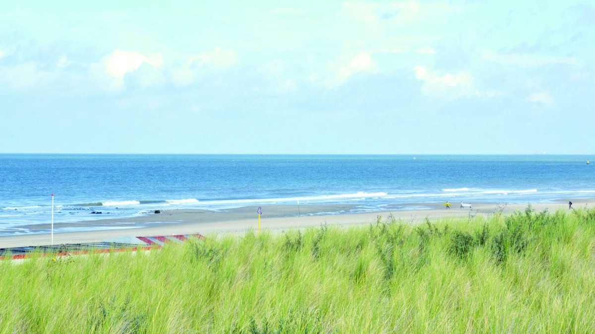 Monster Hotel | Perfect Beach & Trail Escape — E-Bikes and Free Parking