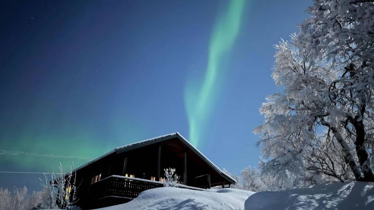 Lenvik Cabin | Perfect cabin for relaxing and privacy.