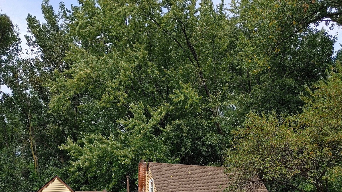 Vadnais Heights House | Perfect Cottage Style House- surrounded by nature, parks and trails.