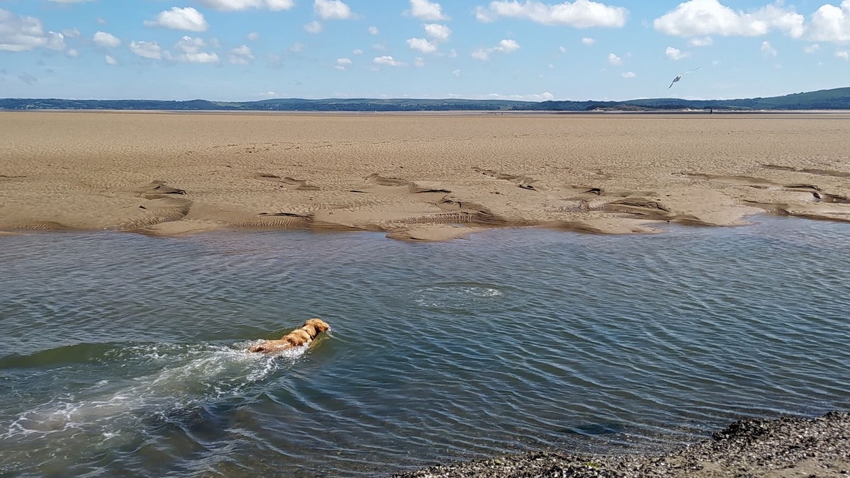 Kidwelly Cottage | Perfect couples retreat, dog-friendly, explore the welsh coast.
