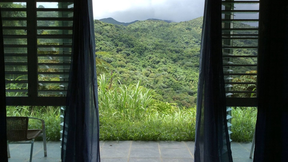 Naguabo Cabin | Perfect for large groups - House & Triplex w/private river access