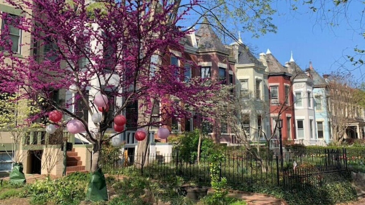 Northeast Apartment | Perfect Location in Capitol Hilln
