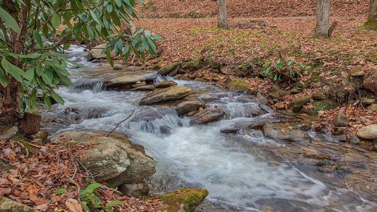 Maggie Valley House | Perfect location, creekside, close to skiing, easy paved access, Game Pavilion!