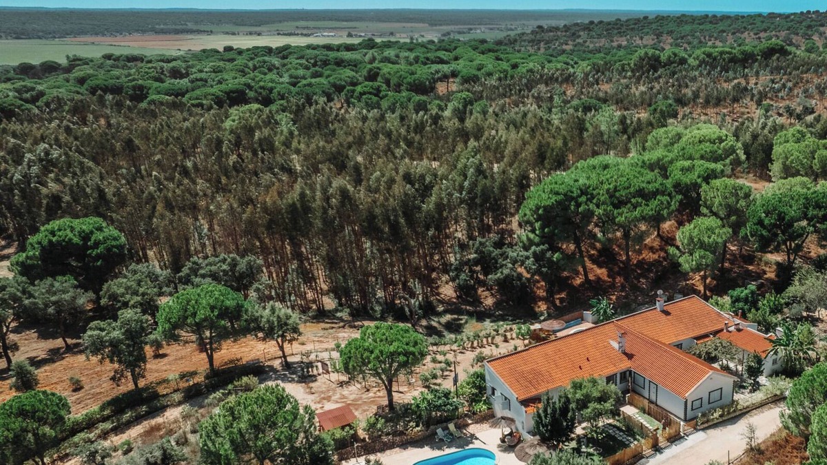 Barrancosas Cottage | Perfect Retreat- Country House with Pool and Barbecue in the Montada Forest