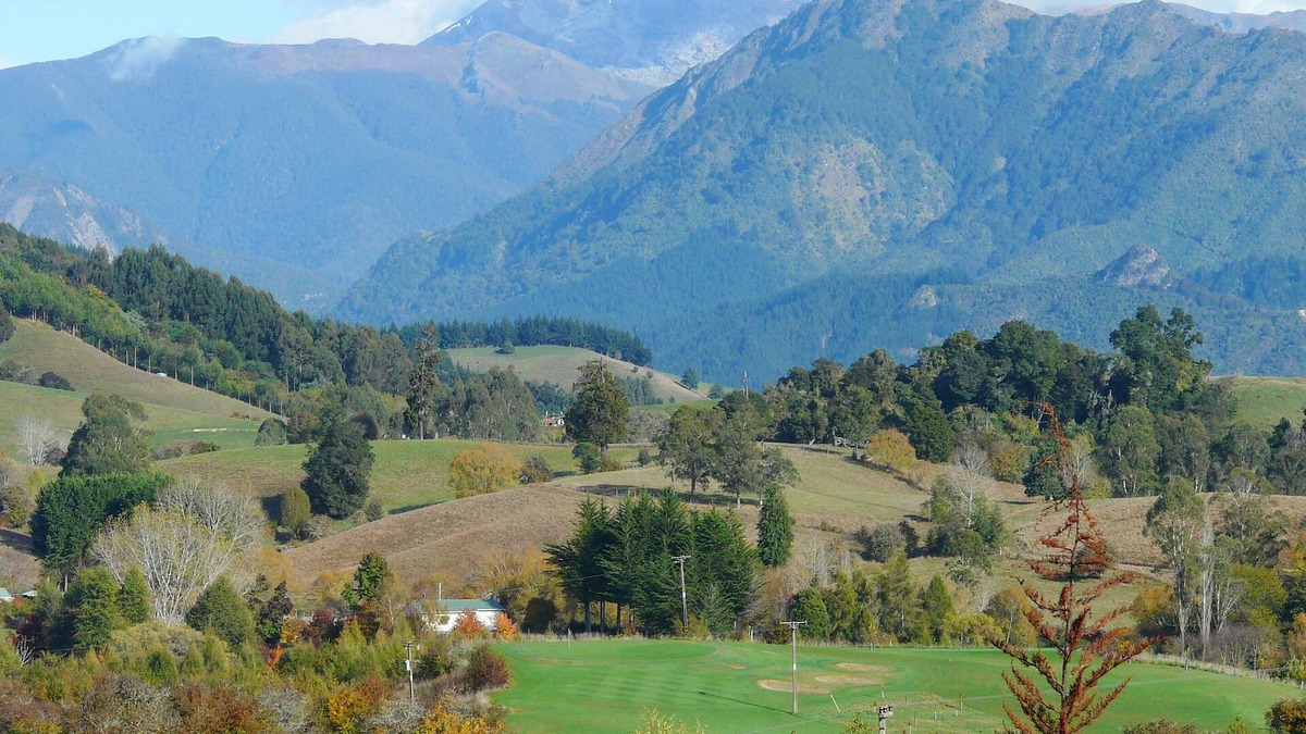 Ngatimoti Other | Perfect Rural Escape - Couples, Families, Pets - Discounted Winter Rates
