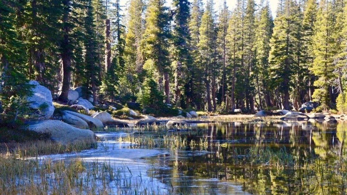 Echo Lake Cabin | Perfect Sierra Cabin Retreat - Near Rivers, Lakes, and Mountains