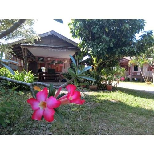 Pua House | Pernjai Homestay บ้านคำข้อน