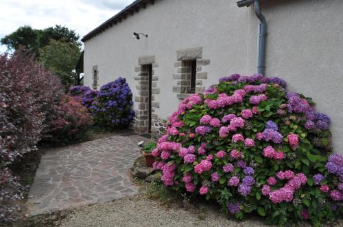 Loscouet-sur-Meu House | Perrault Gites