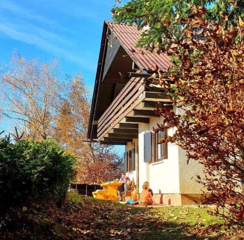 Jesenice House | Pet & Family Friendly House Viktorija - house near Golica with Triglav view