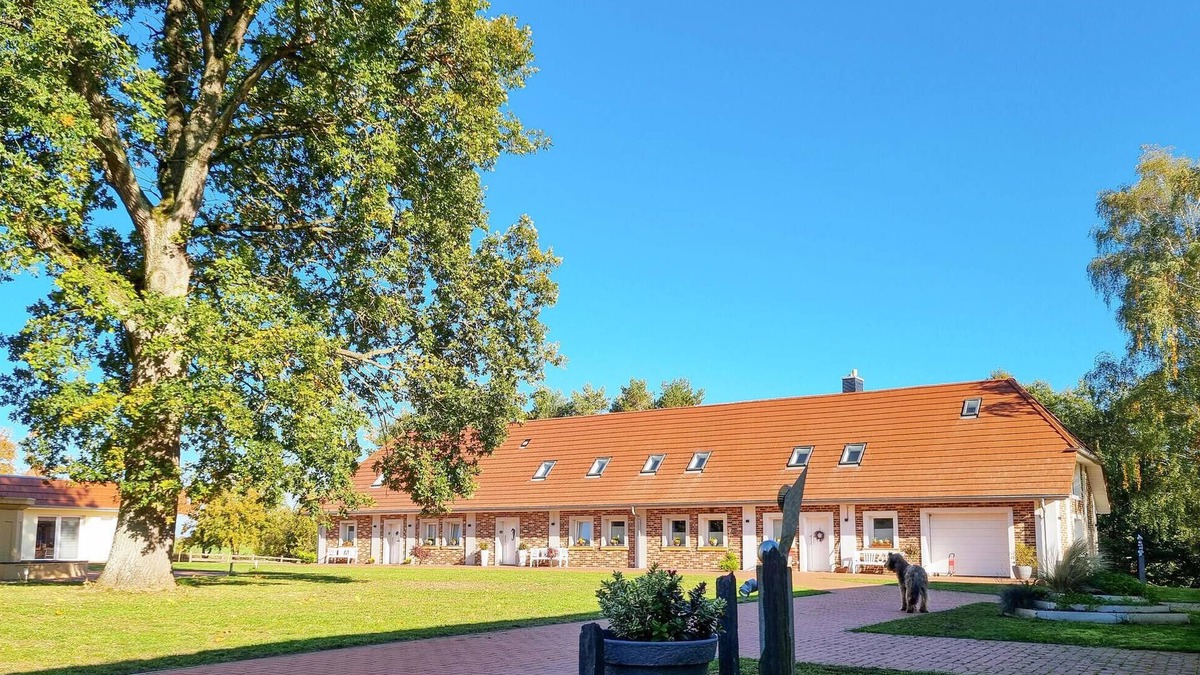 Passow Apartment | Pet friendly apartment