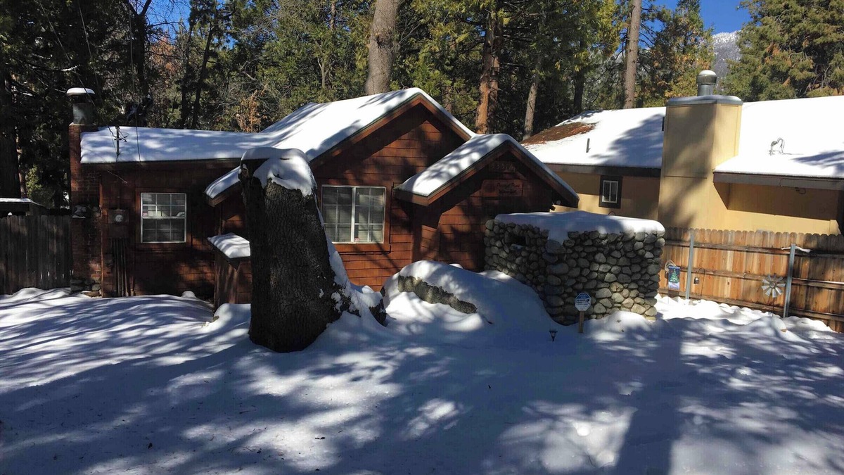 Idyllwild Cabin | Pet friendly cabin-Fully fenced yard! Pets stay free!