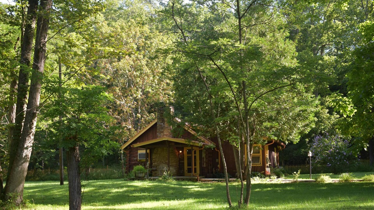 Helmsburg Cabin | Pet-friendly, 110-year-old cabin.