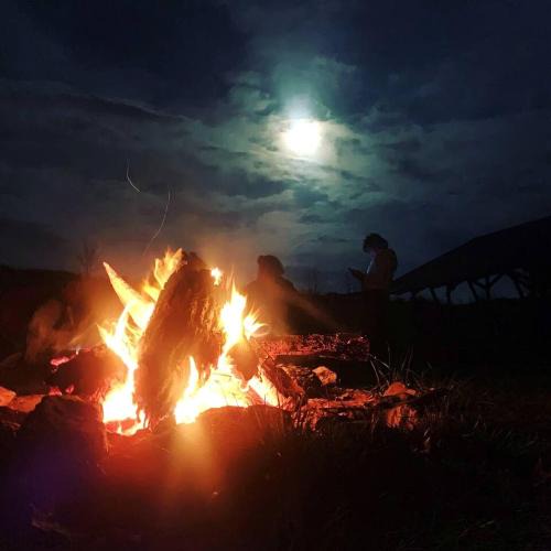 Hartsburg House | Pet-Friendly Cabin for Romantic, Off-the-Grid Glamping Escapes in Missouri