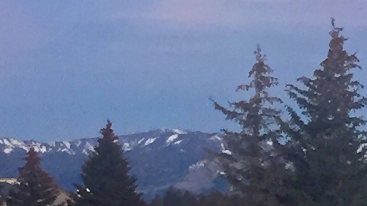 Pagosa Springs Condo | PET FRIENDLY Condo w/Mtn Views & Golf Course nearby. 1 bdrm + a Murphy Bed.