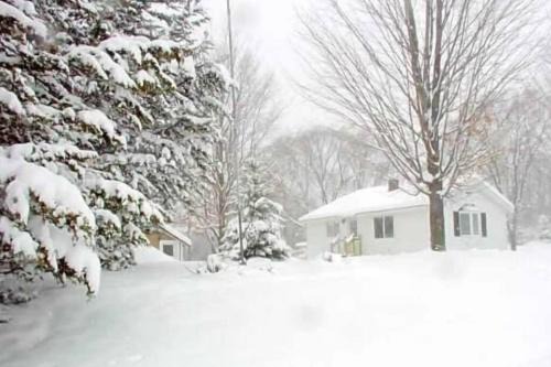Copemish House | Pet Friendly Cottage