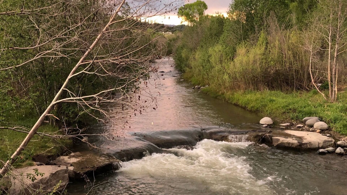 Pagosa Springs Cabin | PET FRIENDLY, cozy, quiet, cabin; river in the backyard STARLINK; VRP-25-0076