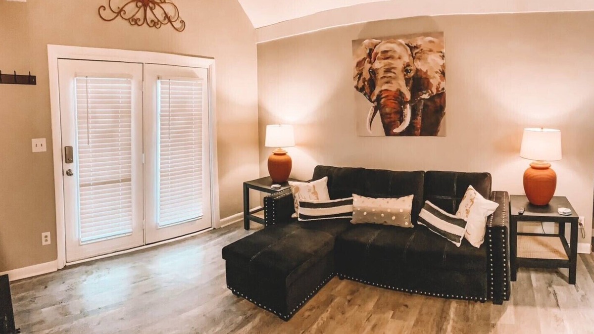 Johnson City Apartment | Pet Friendly 🐾, Quiet & Cozy Close to JCMC-ETSU Newtons Nest 2!