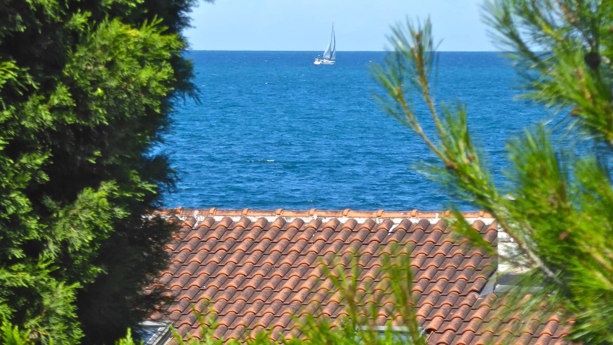 Dajla House | Pet-friendly vacation home by the sea, flash promotion until Sept. 31st 15% discount