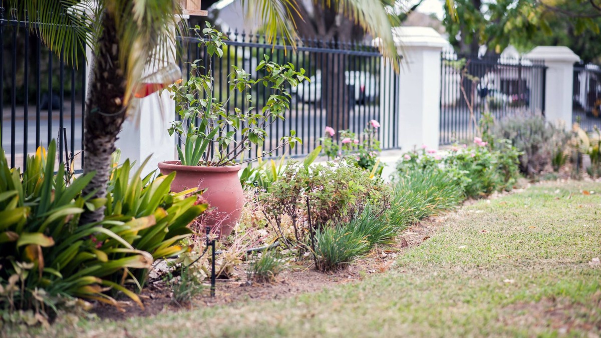 Robertson House | Petal's Place Guest House