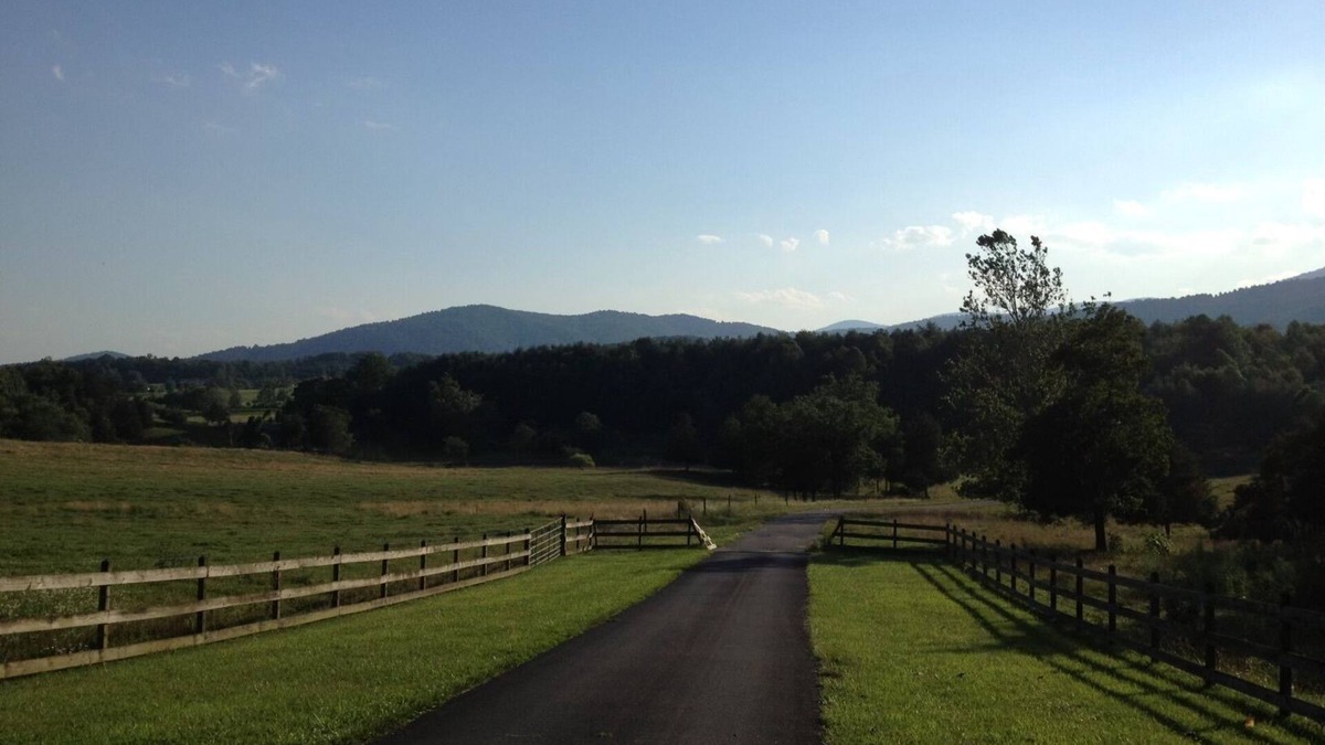 Stanardsville Apartment | Pete's Place: Forest retreat near wineries, Blue Ridge School, and Shenandoah NP