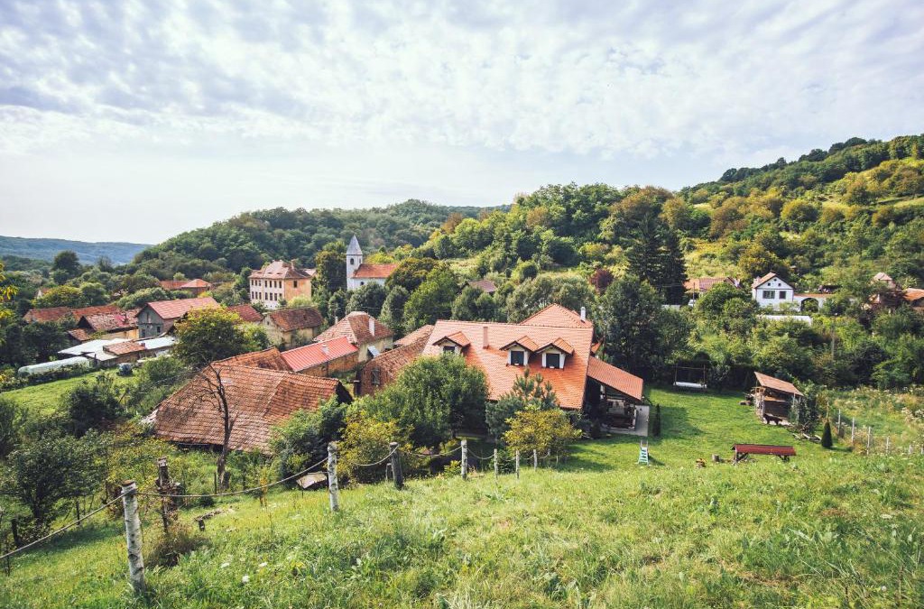 Seica Mare House | Petershaus - casa de vacanța și distractie.