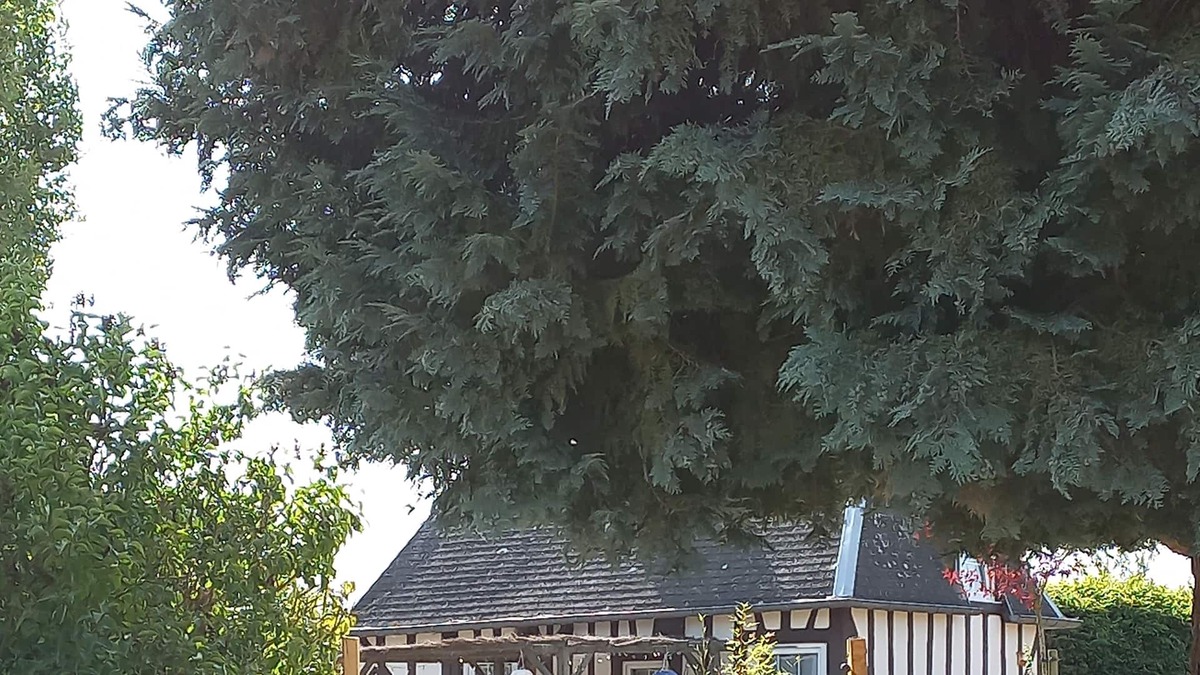 St-Cyr-de-Salerne Cottage | Petit Gîte de Charme Normand