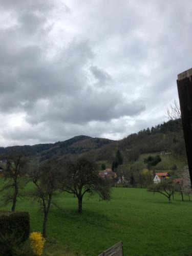 Breitenbach-Haut-Rhin Apartment | Petit week end dans la vallée
