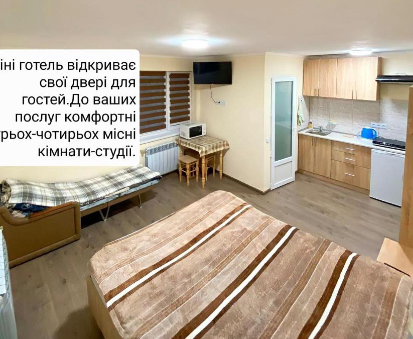Nyzhnje Selyshche Apartment | Petite Chambre
