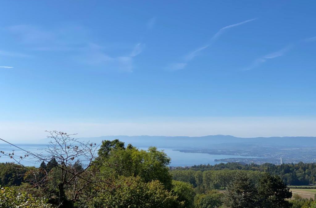 Belmont-sur-Lausanne House | Petite maison à l'orée des bois vue magnifique sur le lac zenitude et plénitude