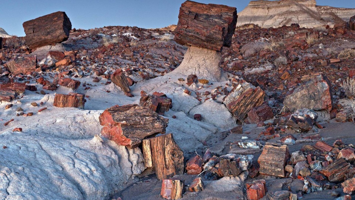 Holbrook RV Rental | Petrified National Forest/Meteor Crater near Holbrook,AZ