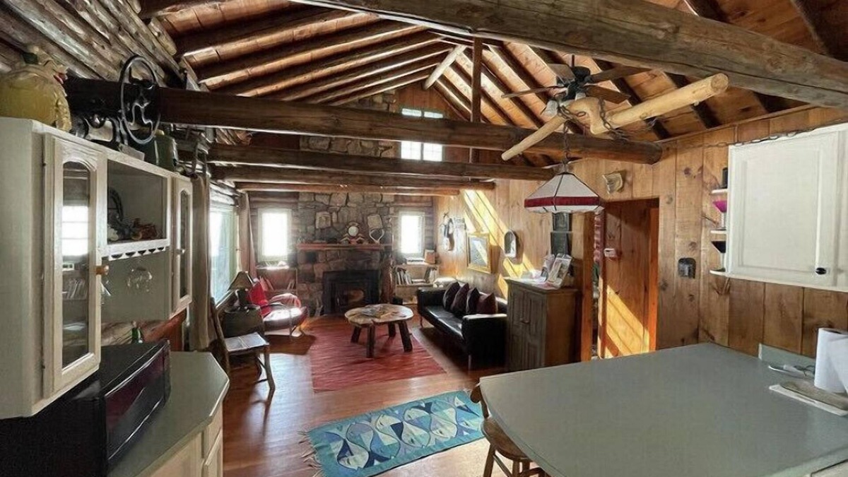 Northville House | PETS WELCOME ! ADIRONDACK LOG CABIN WALK TO BEACH