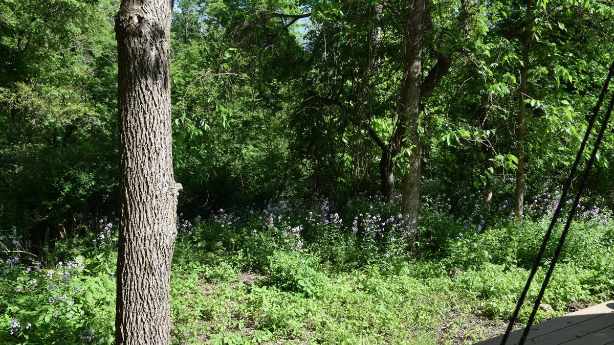 Newark Valley Other | Peyper Fields Creekside Camp