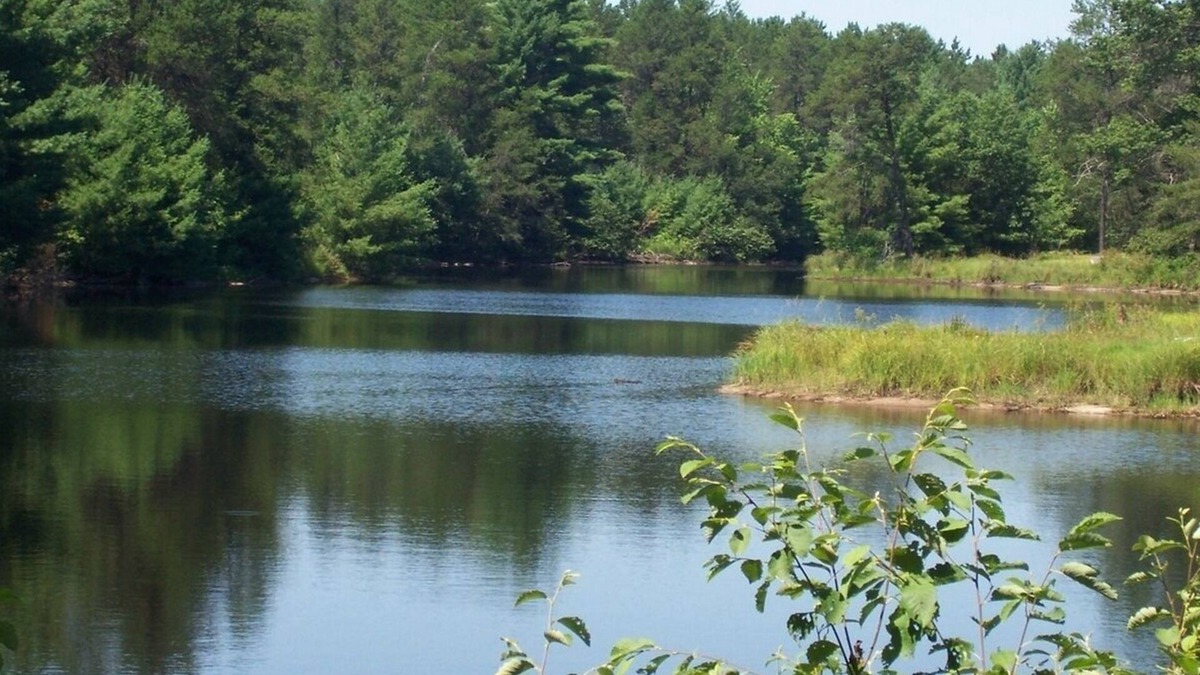 Black River Falls Cottage | Pheasant Cottage- Cottages On Serenity Lake- has best view of Serenity Lake!