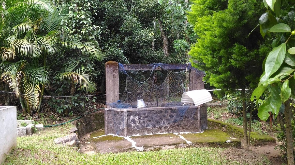 Pirmed Bed & Breakfast | Philip Mary Farm Stay, Thekkady