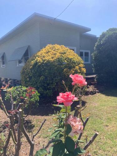 Scone House | Philomena's 60s cottage in Scone