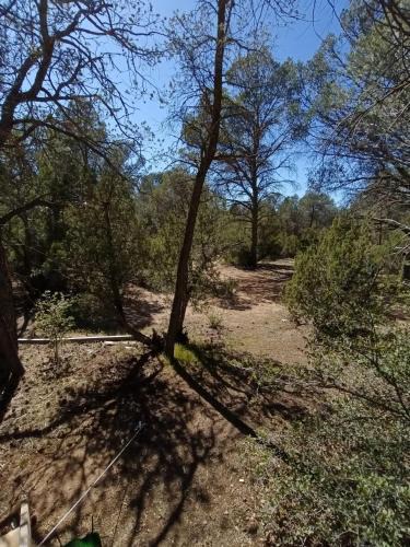 Tecate Municipality Other | Piñoneras del cóndor