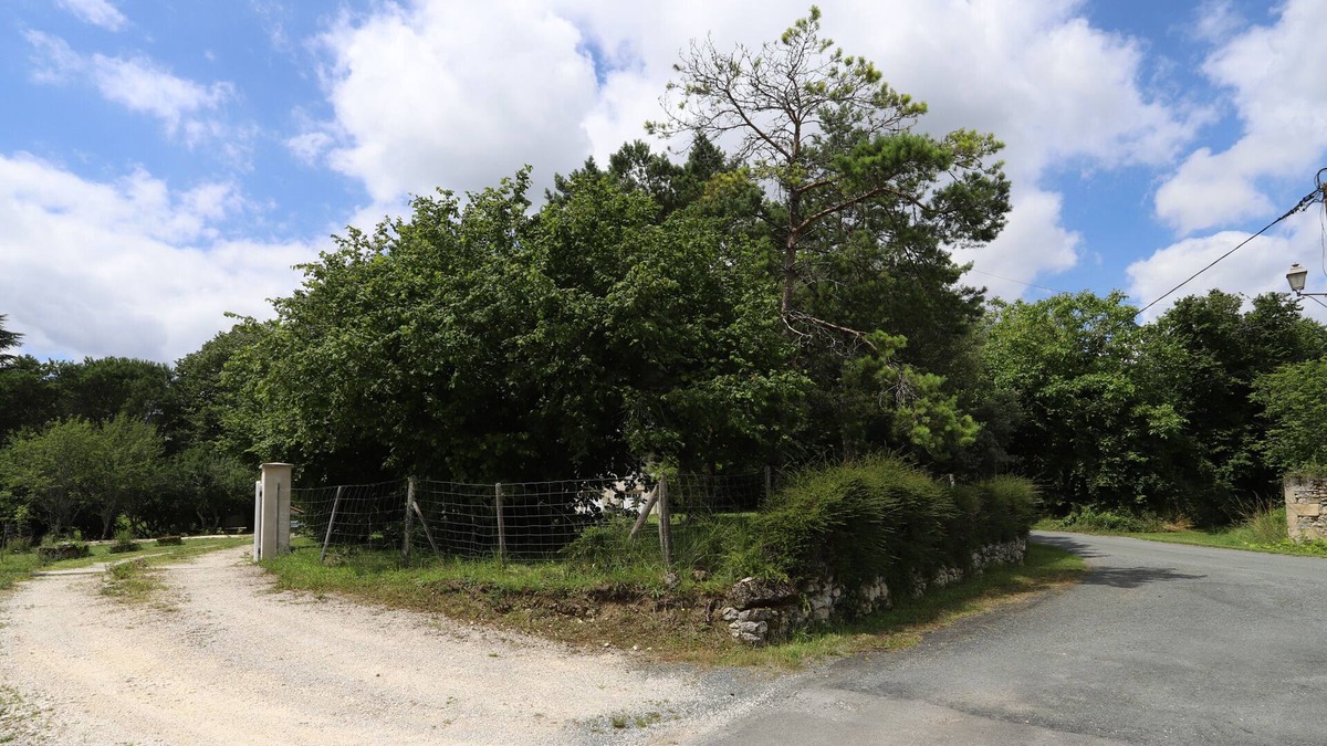 La Chapelle-Montabourlet House | Picturesque 5 bedroom house with pool - Dodo et Tartine