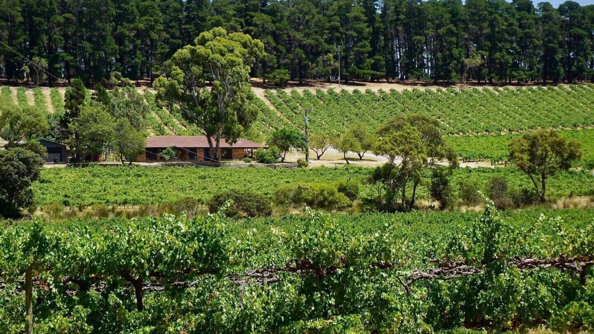 McLaren Vale House | Picturesque Vineyard Farmhouse Nestled on 40 Acres