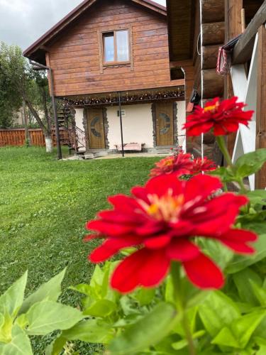 Verkhovyna Cabin | Pidkova