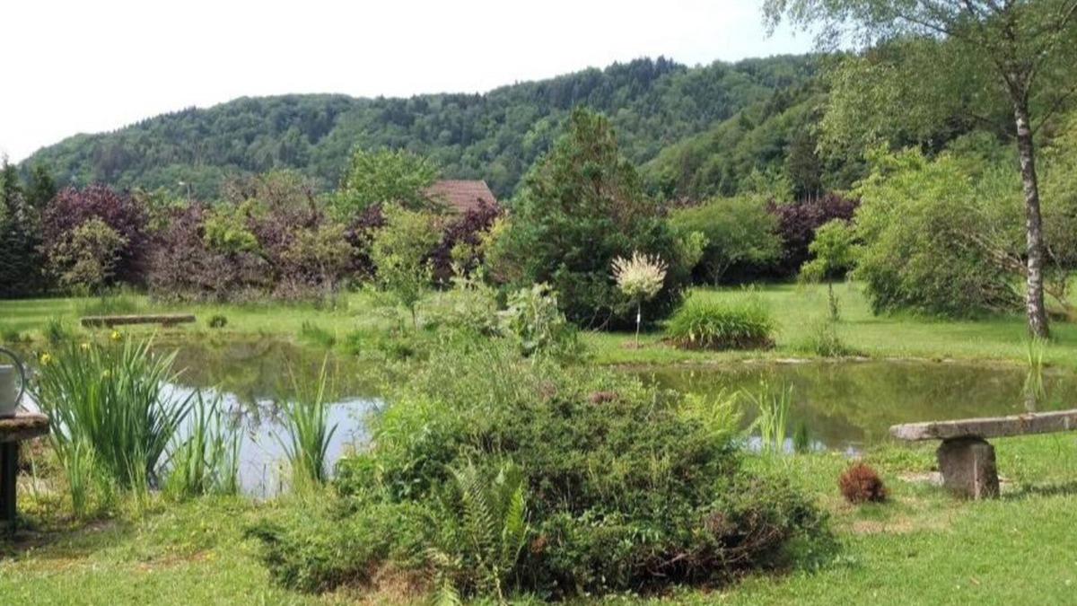 Faucogney-et-la-Mer Apartment | Pied des Milles Etang - Les Capucins