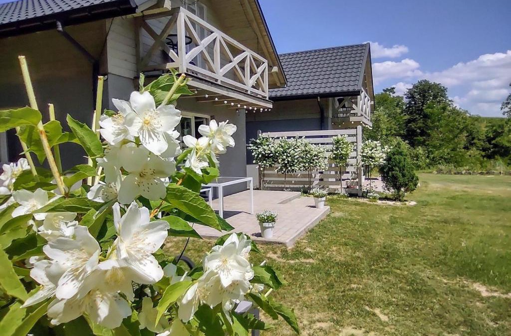 Dwikozy Cabin | "Pieprzowe Wzgorze" - domki całoroczne