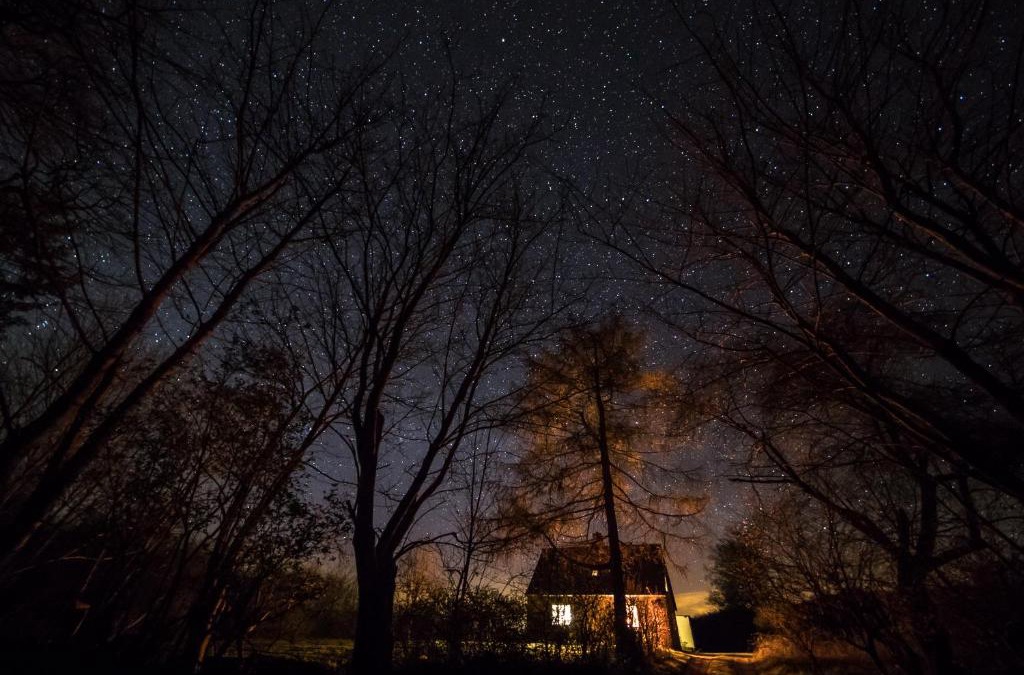 Borre House | Pike Lake House