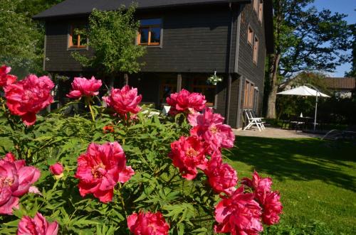Roja House | Pilava